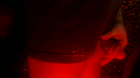 Snapshot of whor4mor chatting on February 2025 02:26:01 PM whor4mor online show from February 2025 02:26:01 PM