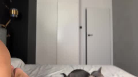 Alice online show from October 2025 04:14:02 PM