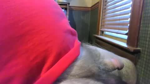 Snapshot of whydog chatting on January 2025 10:24:01 PM whydog online show from January 2025 10:24:01 PM