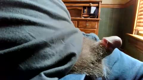 whydog online show from March 2026 06:44:02 PM