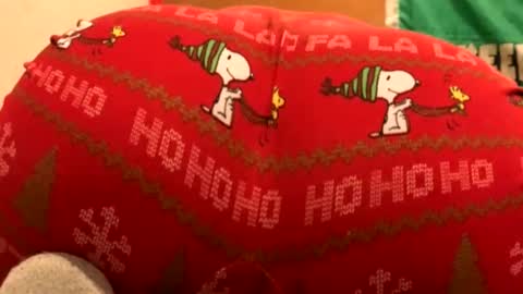 whyou12 online show from November 2025 09:57:02 PM