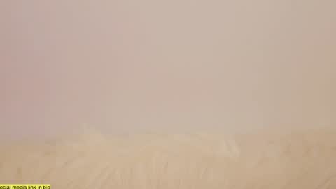Snapshot of wild_schoolgirl chatting on January 2025 10:24:01 PM wild_schoolgirl online show from January 2025 10:24:01 PM
