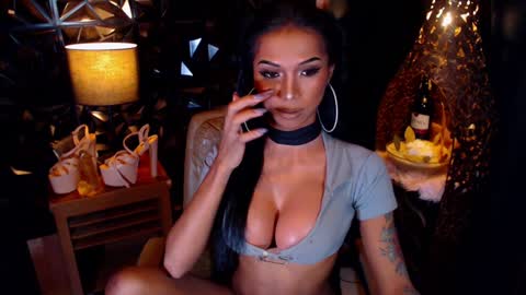 wildara online show from January 2025 10:08:01 AM