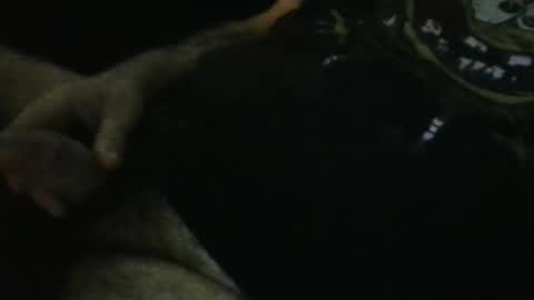 Snapshot of wildealexyz chatting on September 2025 11:21:01 PM WildeAlex online show from September 2025 11:21:01 PM