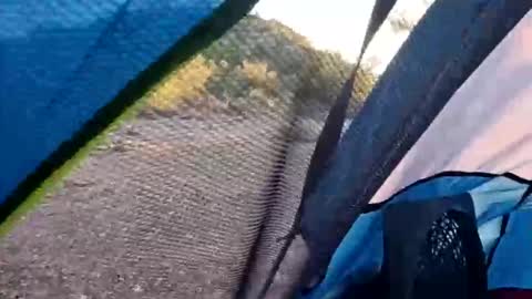 wildernessgoddess online show from November 2025 11:46:01 PM