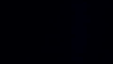 wildman3845 online show from December 2024 11:24:02 AM