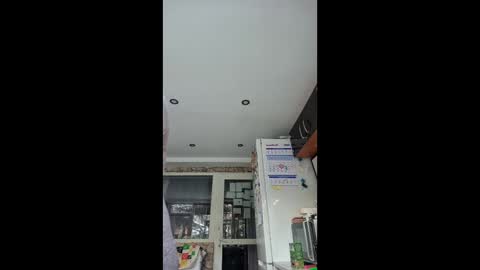 WildPersia online show from January 2026 09:47:02 AM