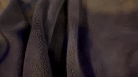 Snapshot of wiley0520 chatting on January 2026 09:03:02 AM wiley0520 online show from January 2026 09:03:02 AM