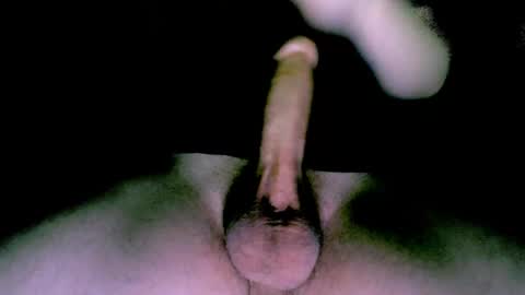 willcox10301 online show from January 2025 10:12:01 PM