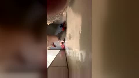 williamcody653 online show from February 2026 06:21:02 AM