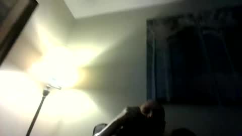 Willhedoher online show from March 2026 12:51:02 PM