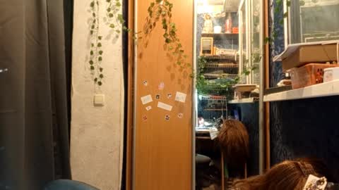 Snapshot of willodeanheitner chatting on February 2026 08:47:01 PM Phoebe online show from February 2026 08:47:01 PM