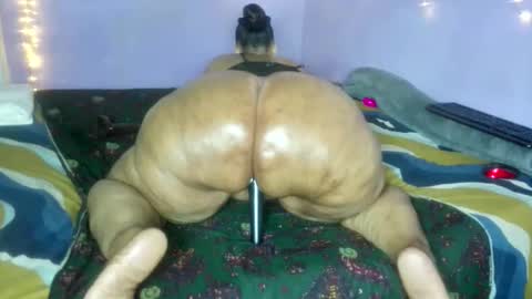 wilmaassylum online show from December 2025 05:58:02 AM