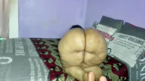 wilmaassylum online show from February 2026 07:12:02 AM