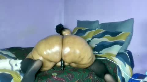 wilmaassylum online show from February 2026 06:59:02 AM