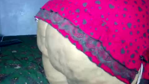 wilmaassylum online show from March 2026 06:41:02 AM