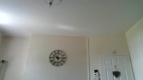 Snapshot of windy19391a chatting on May 2026 09:49:01 AM windy19391a online show from May 2026 09:49:01 AM