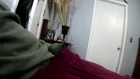 wisheyeknew2 online show from December 2025 09:26:01 AM