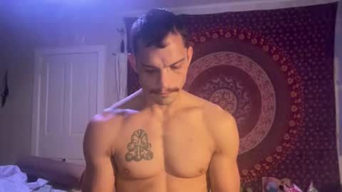 Snapshot of wolfblazer5 chatting on January 2025 11:17:01 AM Wolfblazer online show from January 2025 11:17:01 AM