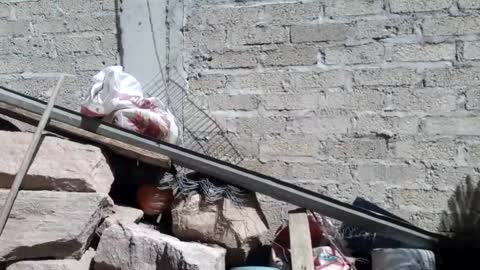 WolvyGalan online show from January 2025 07:04:01 PM