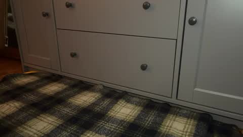 Snapshot of wookmortyy chatting on December 2025 04:25:02 PM Sage online show from December 2025 04:25:02 PM