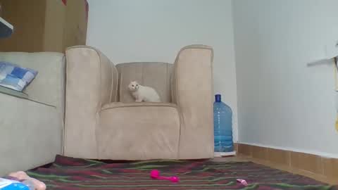 Snapshot of wtfbarbz chatting on October 2025 12:47:01 PM Barbie online show from October 2025 12:47:01 PM