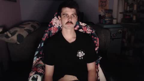 Wyatt online show from September 2025 02:37:02 AM