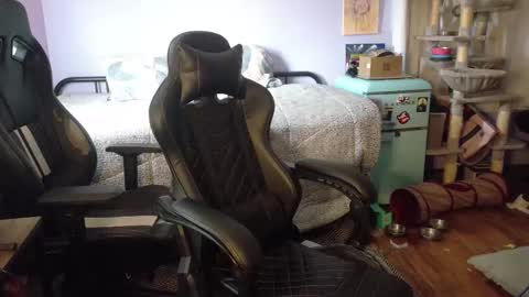 Wyatt online show from November 2025 07:37:02 PM