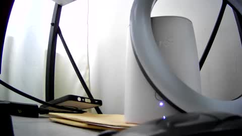 xavicock24 online show from March 2026 10:25:01 PM