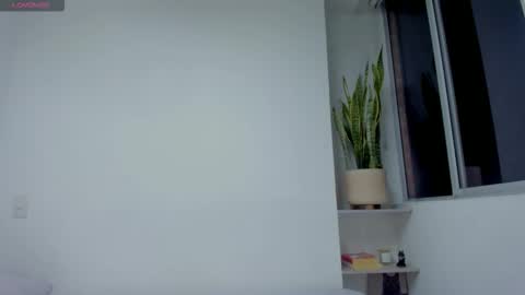 Xavier online show from November 2025 01:49:01 AM