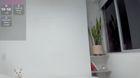 Xavier online show from March 2026 10:08:02 AM