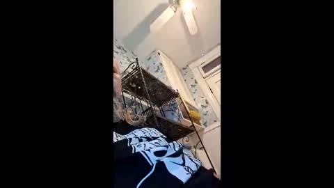 xbillisticx1 online show from June 2026 01:02:01 PM