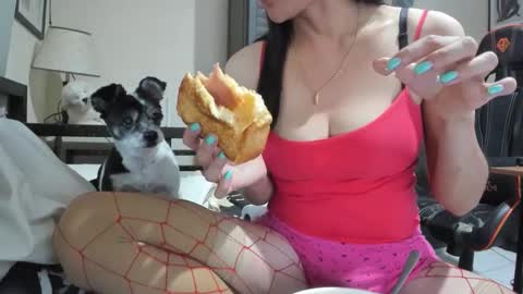 xdreamangel online show from December 2024 09:00:01 AM