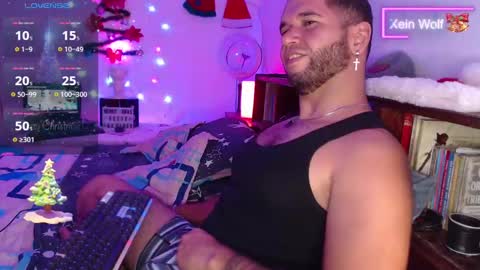 Snapshot of xein_wolf chatting on December 2024 02:49:02 AM Xein Independent Model online show from December 2024 02:49:02 AM