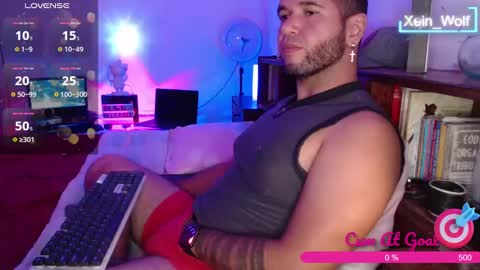 Snapshot of xein_wolf chatting on January 2025 02:42:02 AM Xein Independent Model online show from January 2025 02:42:02 AM