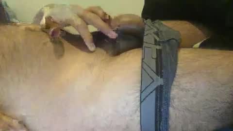 xenextra online show from December 2024 10:39:02 AM