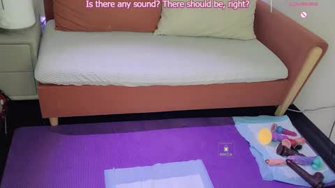      online show from December 2025 01:08:01 PM