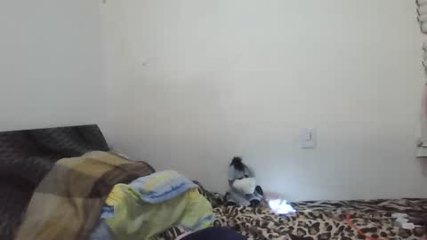 Snapshot of xime5144838 chatting on February 2025 01:35:01 AM Ximena online show from February 2025 01:35:01 AM