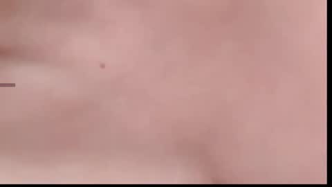 Snapshot of xinbao799322 chatting on November 2025 02:05:01 PM xinbao799322 online show from November 2025 02:05:01 PM