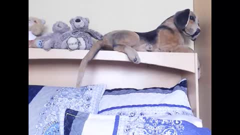 Miss Ria online show from February 2026 11:24:01 AM