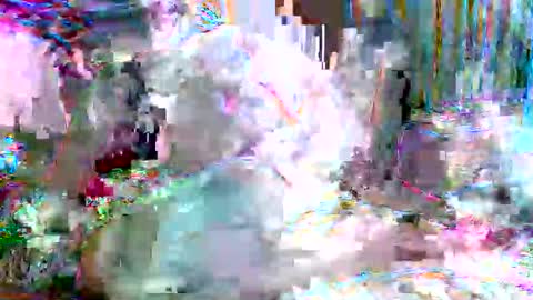 xixo6969 online show from February 2026 05:15:01 AM