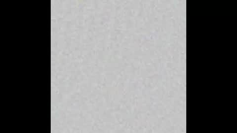 JSSD online show from November 2025 11:54:02 AM