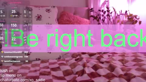 Snapshot of xo_sadie chatting on December 2024 07:26:02 AM Xo Sadie online show from December 2024 07:26:02 AM