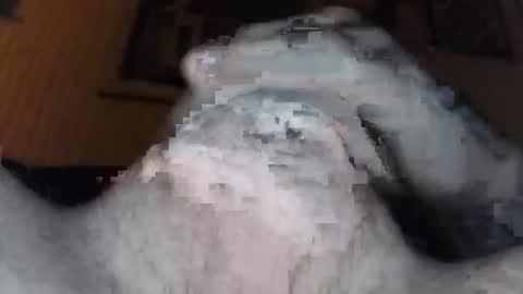 xoxossdfm8894982459 online show from December 2025 03:46:02 AM