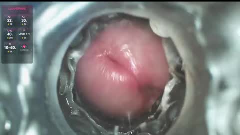 xoxowtf online show from December 2024 09:48:01 PM