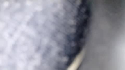 xploid1982 online show from December 2025 01:33:02 AM