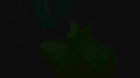 xposed_edger online show from March 2025 05:33:02 AM