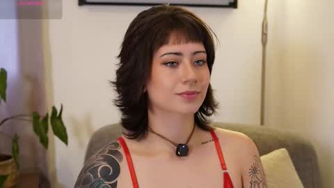 Blue online show from February 2026 07:32:01 PM