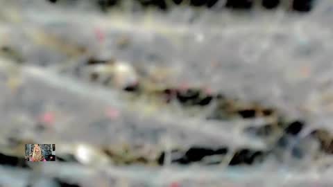 Snapshot of xthesexyboyx chatting on February 2025 04:53:02 AM Femboy Exotic online show from February 2025 04:53:02 AM