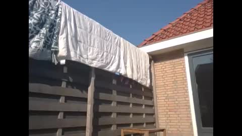 max online show from March 2025 11:58:01 AM